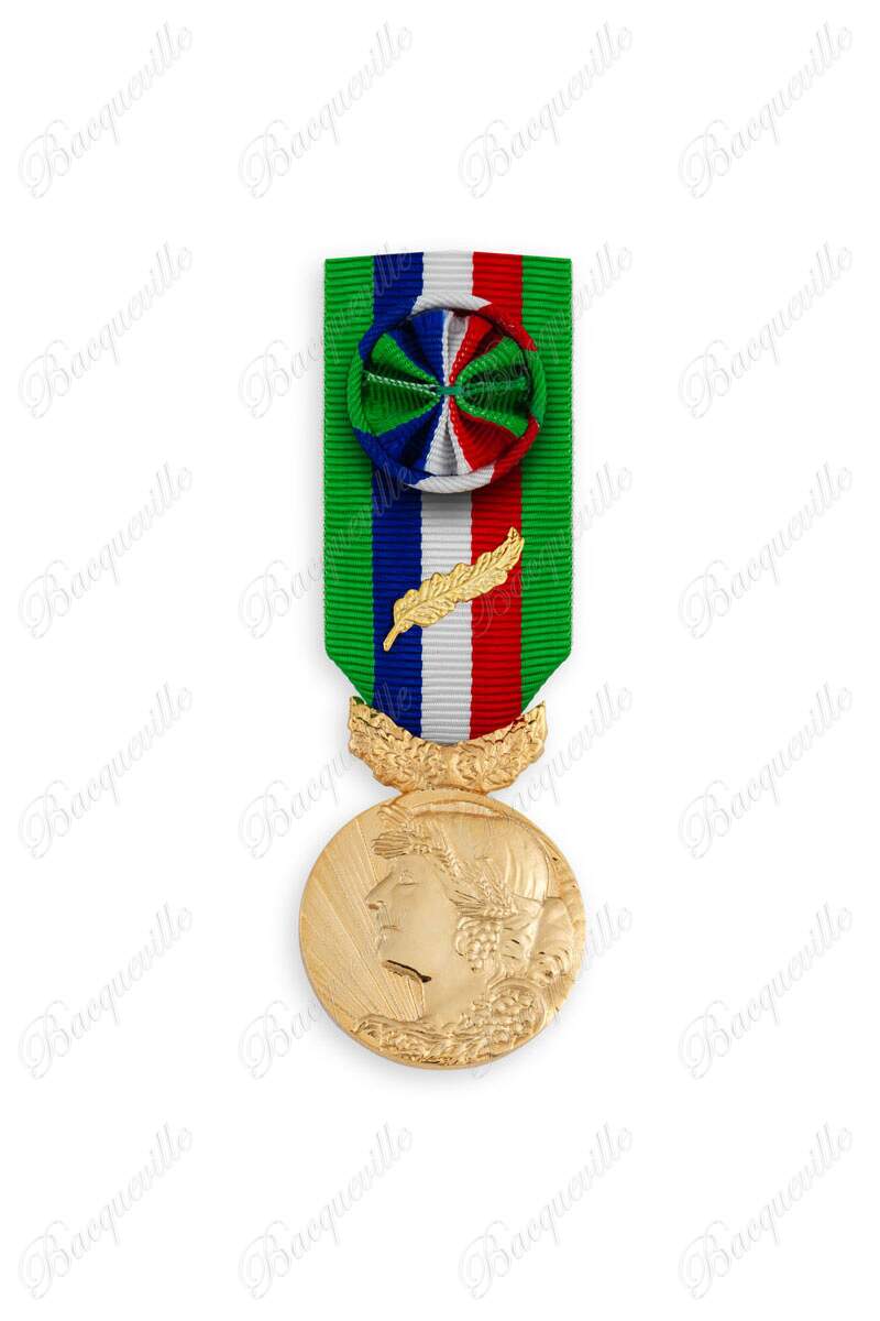Medaille D'honneur Agricole 20 Ans Métal 